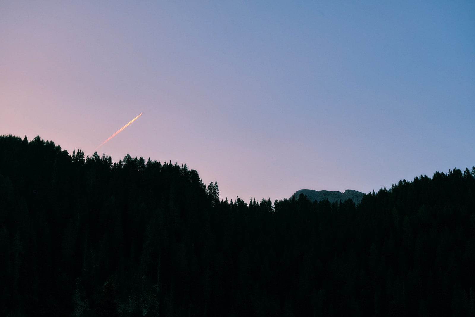 Photo by Mario Esposito a plane flying in the sky over a forest